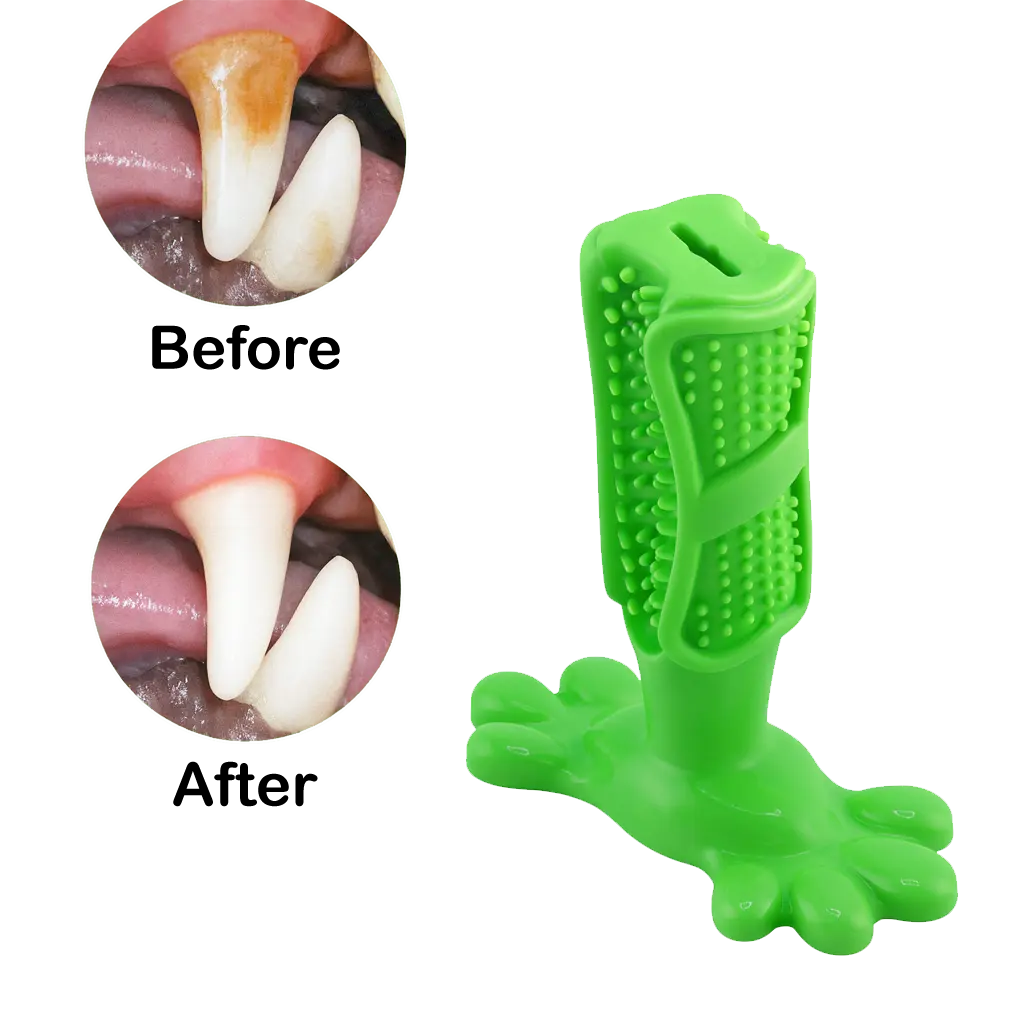 Dog Toothbrush Chew Toy