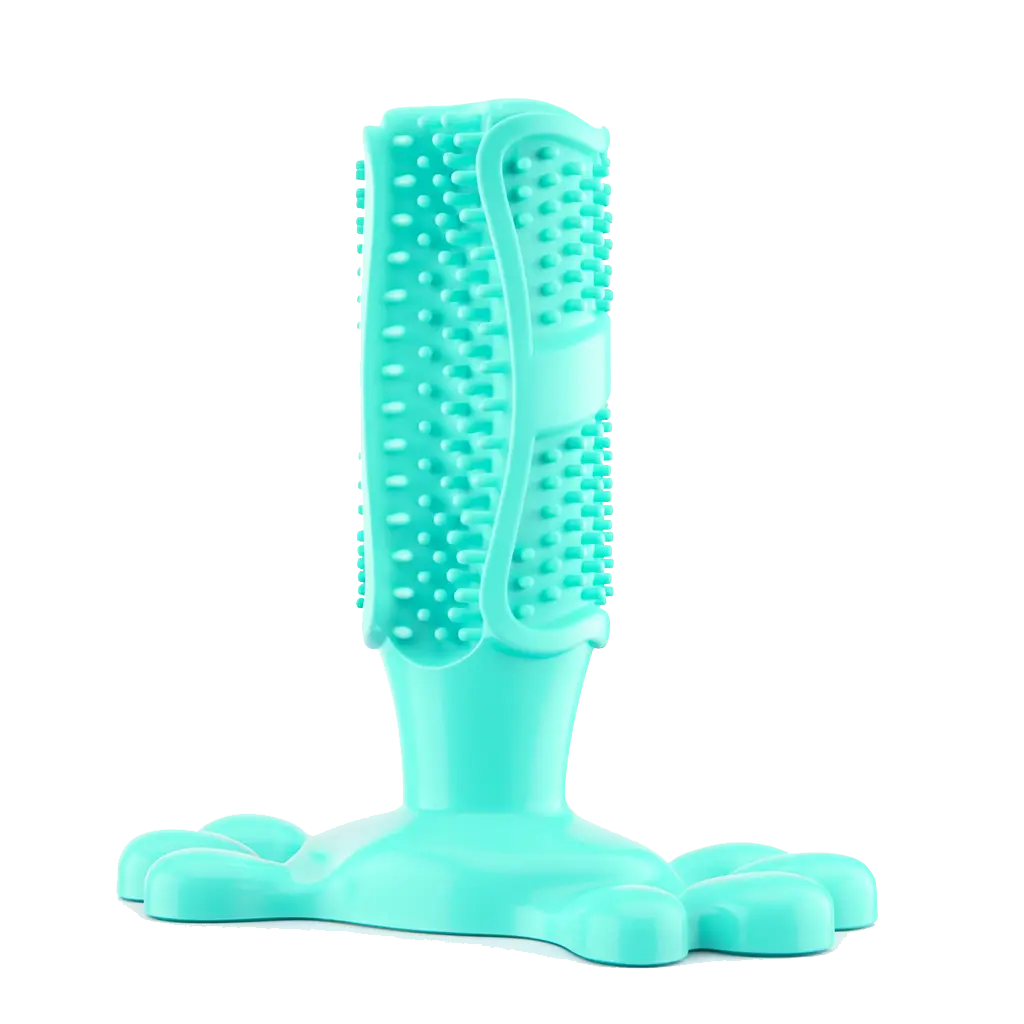 Dog Toothbrush Chew Toy