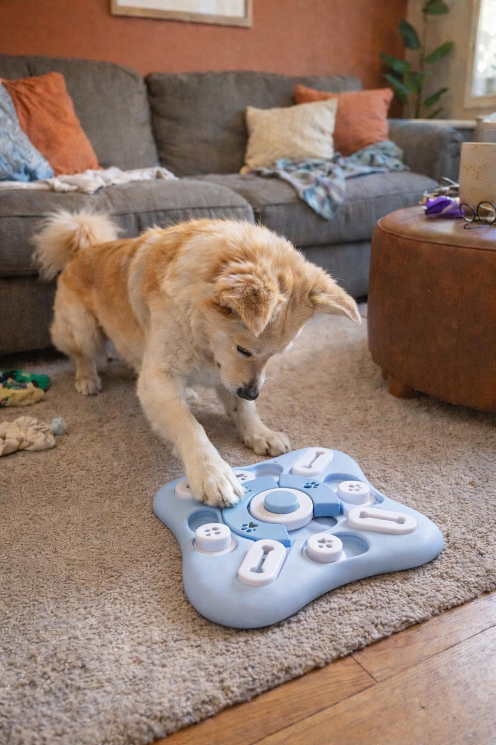 Dog Playing with Interactive puzzle Toy