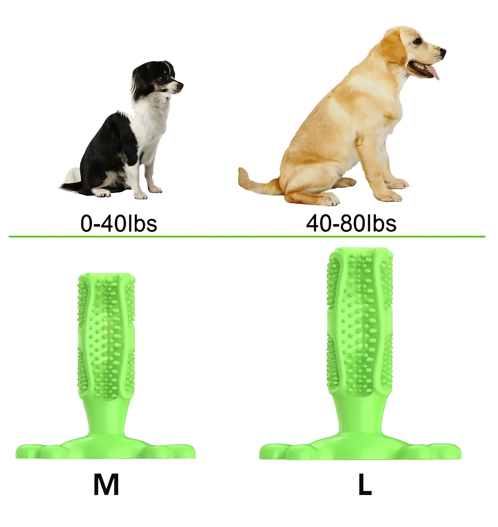 Dog Toothbrush Chew Toy