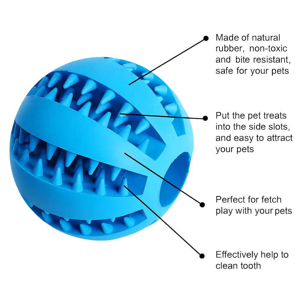 Dog Ball Toy